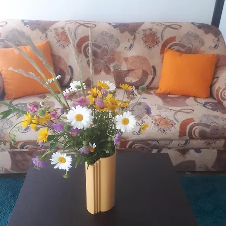 Mit Herrlicher Aussicht Apartment